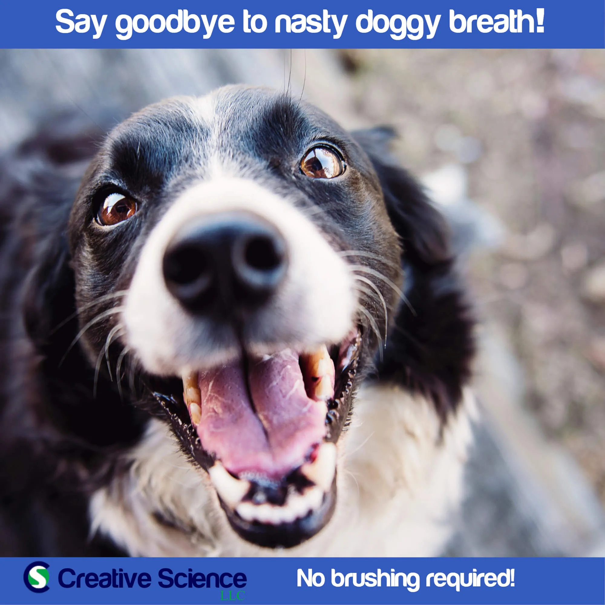BreathaLyser