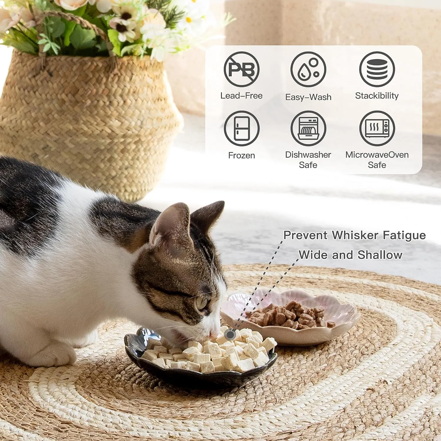 Ceramic Food Plate Set of 4, 5.5 Inch Shallow Cat Bowl Whisker Friendly, Flat Dishes for Wet Food, Microwave and Dishwasher Safe