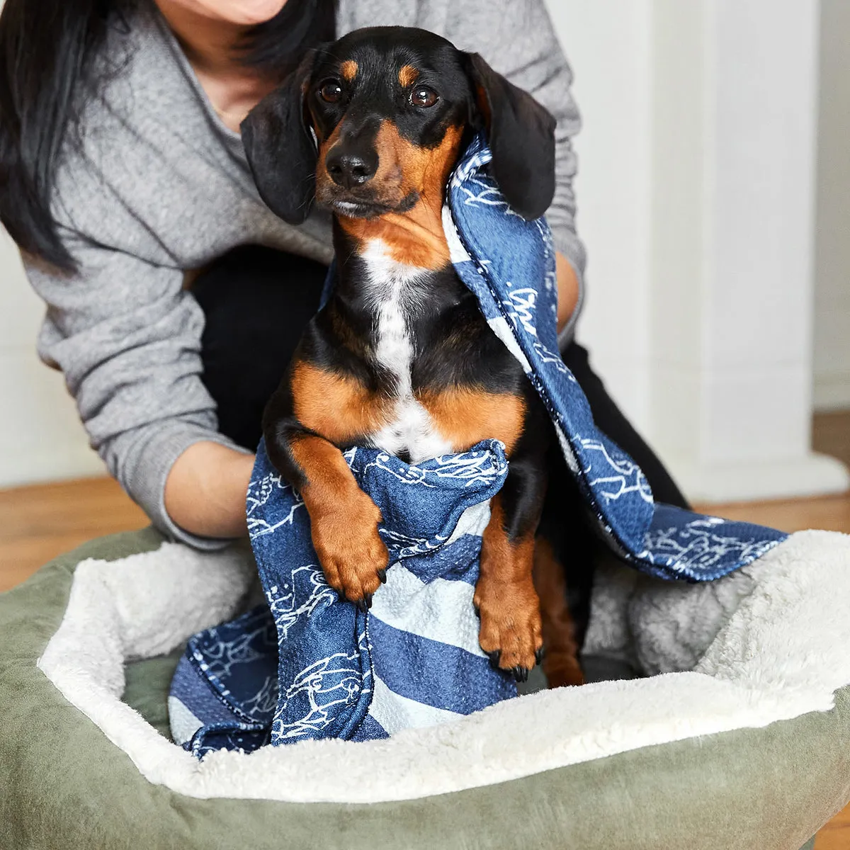 Dog & Bay - Towels for Pets - Puppy Party - Outlet