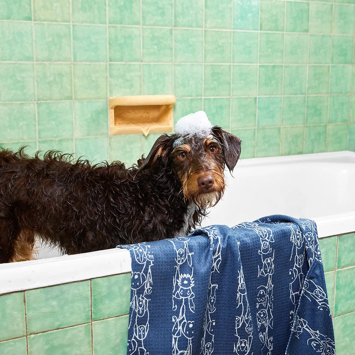 Dog & Bay - Towels for Pets - Puppy Party - Outlet