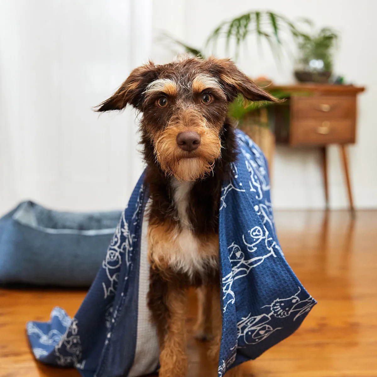 Dog & Bay - Towels for Pets - Puppy Party - Outlet