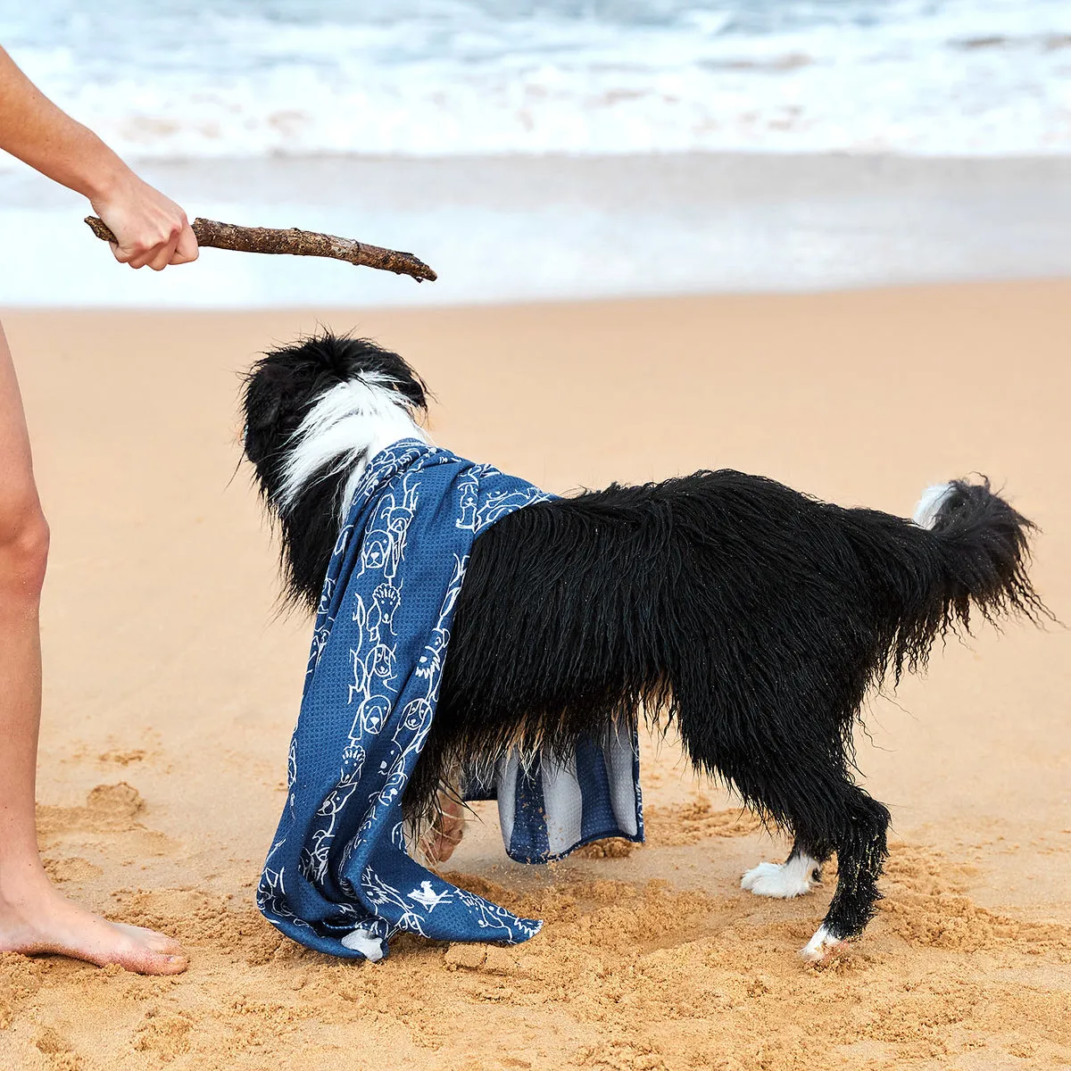 Dog & Bay - Towels for Pets - Puppy Party - Outlet