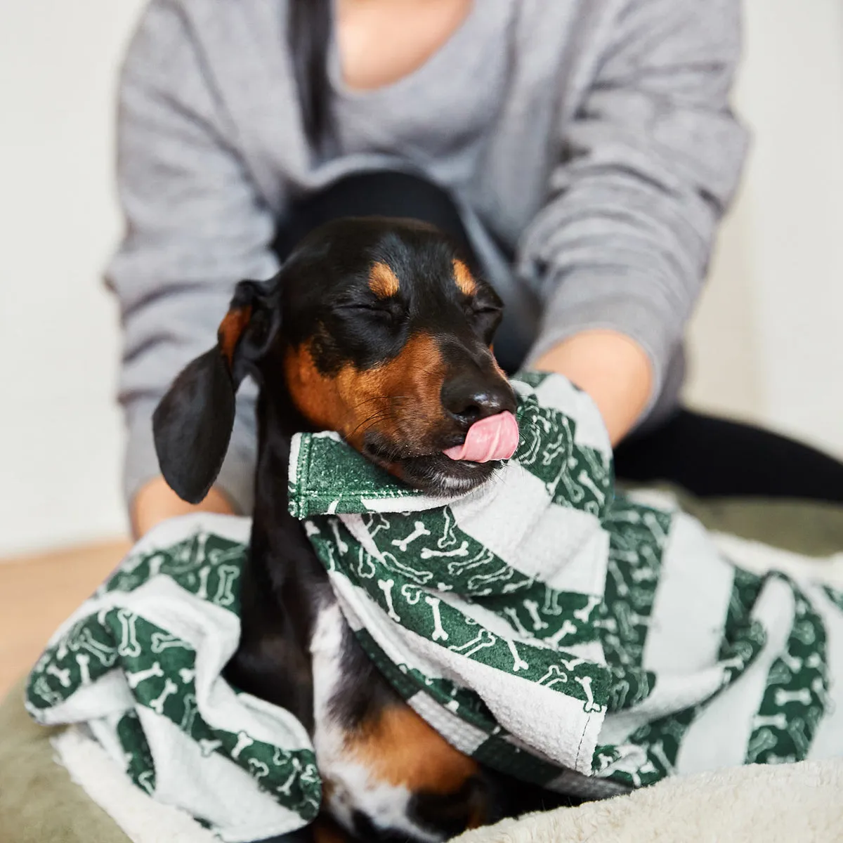 Dog & Bay - Towels for your pets