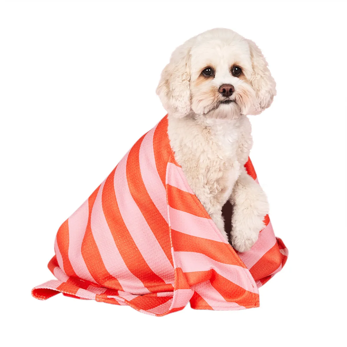Dog & Bay - Towels for your pets