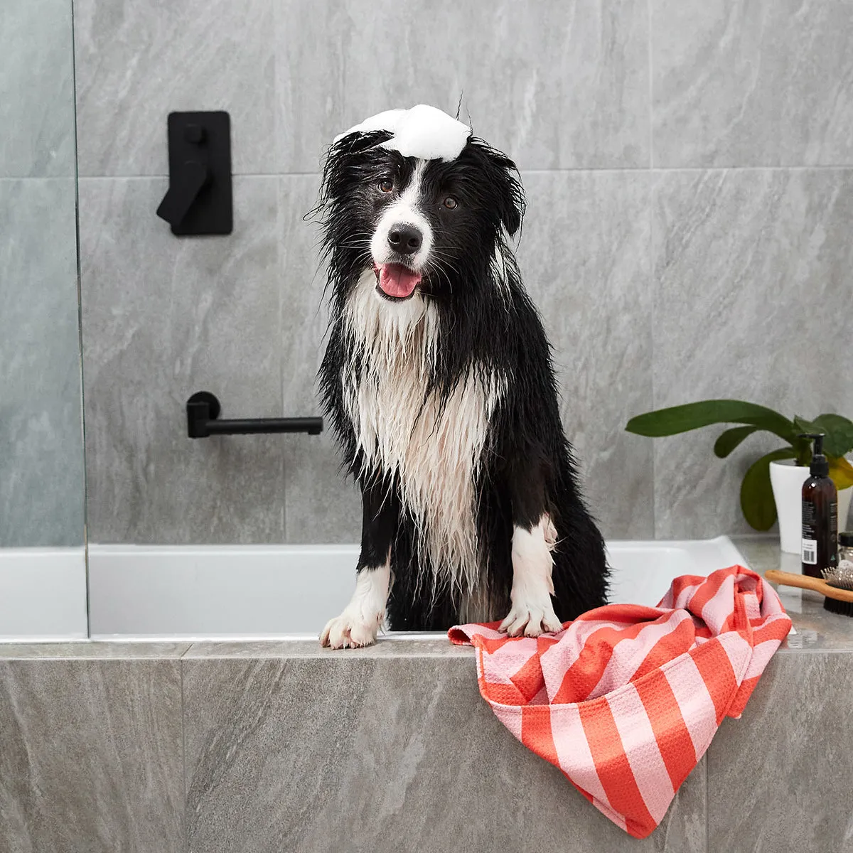 Dog & Bay - Towels for your pets