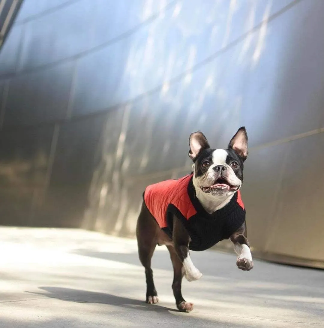 Gooby Fashion Vest Dog Jacket - Gray, X-Large - Warm Zip Up Bomber Vest with Dual D Ring Leash - Winter Water Resistant Small Dog Sweater