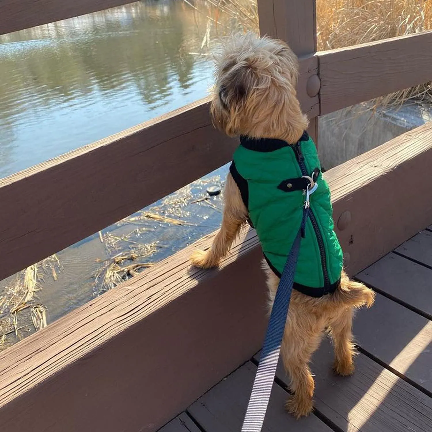 Gooby Fashion Vest Dog Jacket - Green, X-Large - Warm Zip Up Bomber Vest with Dual D Ring Leash - Winter Water Resistant Sweater - Dog Clothes for Small or Medium