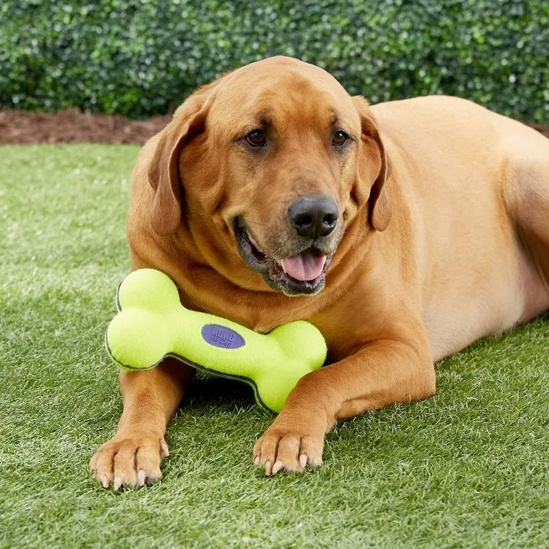 Kong AirDog Squeaker Bone