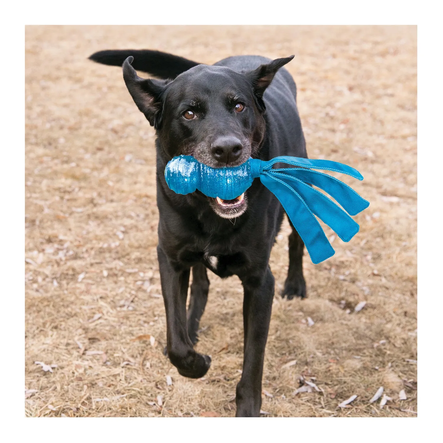 KONG Wubba Comet Dog Toy Large