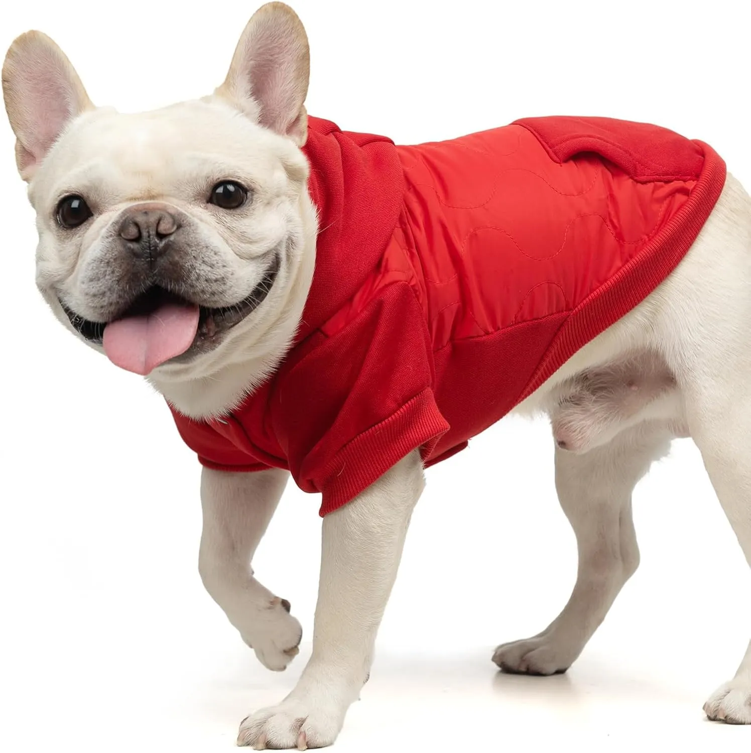 KOOLTAIL Warm Winter Coat for Small Dogs, Waterproof Jacket with Leash Hole, Cold Weather Vest for Winter, Soft Pet Hoodie Sweater Sweatshirt Clothes Outfit for Puppy Cats Girls Boys Red L