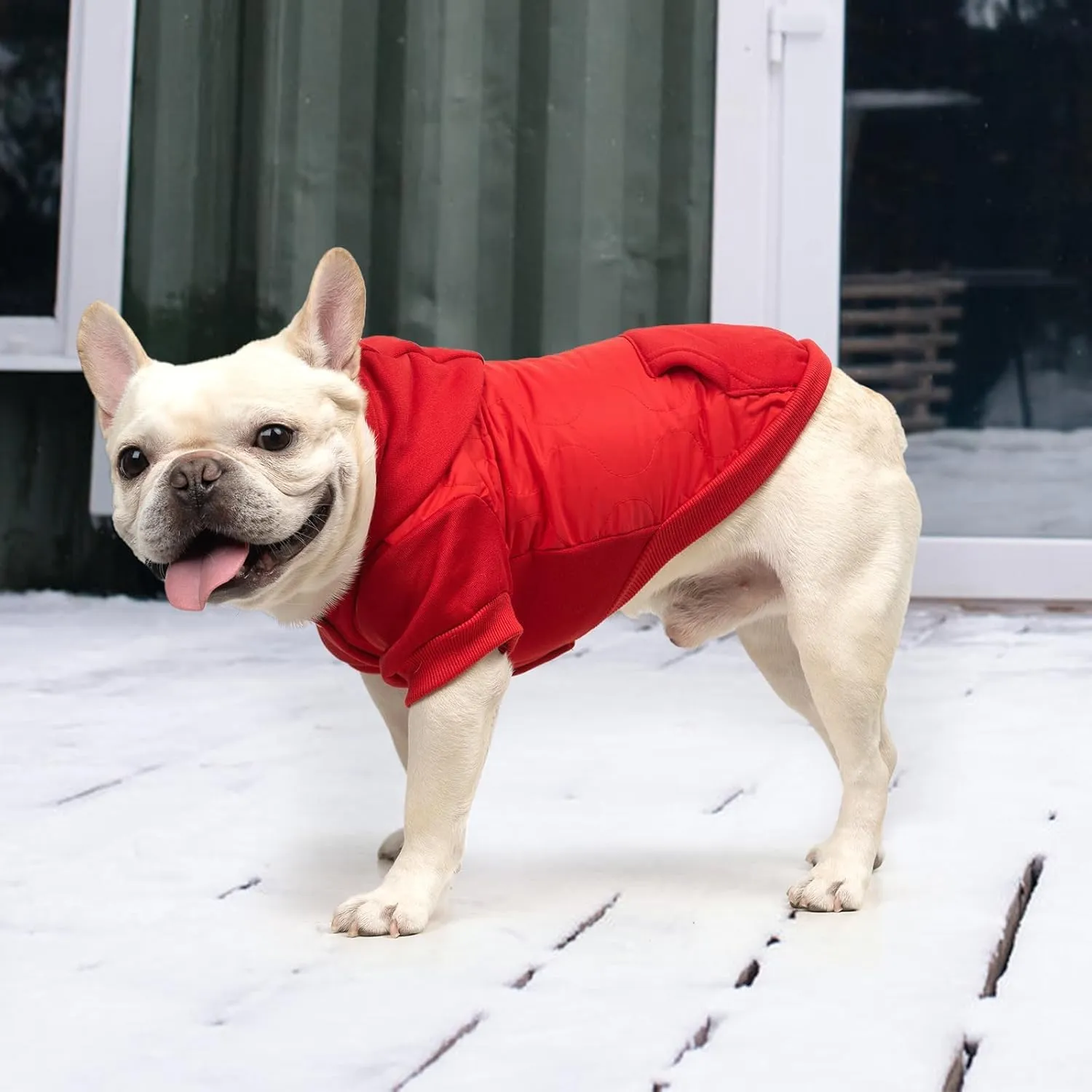 KOOLTAIL Warm Winter Coat for Small Dogs, Waterproof Jacket with Leash Hole, Cold Weather Vest for Winter, Soft Pet Hoodie Sweater Sweatshirt Clothes Outfit for Puppy Cats Girls Boys Red L