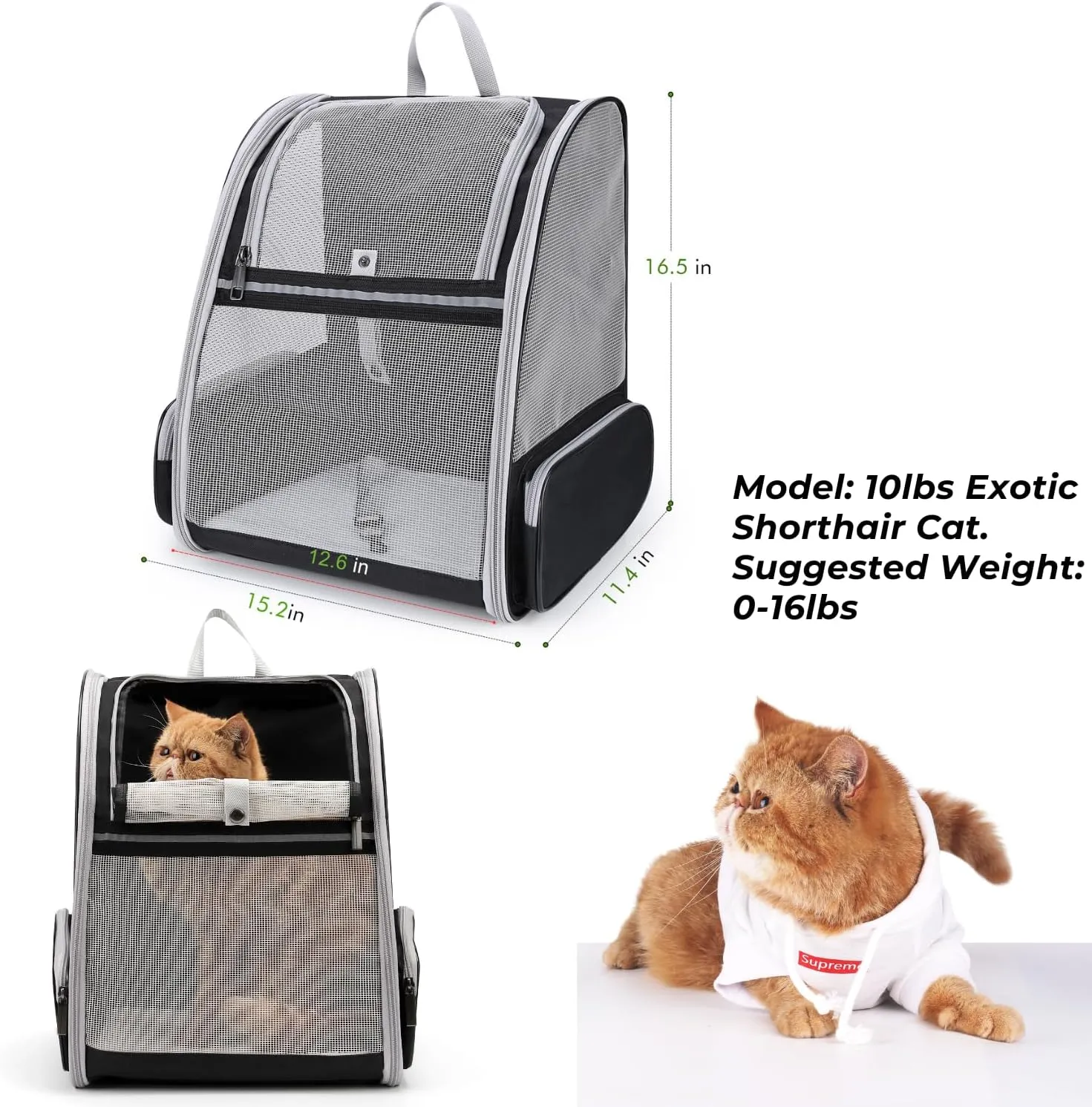 Lollimeow Cat Backpack Carrier, Ideal for Small Animals & Puppies, Outdoor Adventures, Vet Transport. Fully Ventilated Design for Ultimate Comfort On-The-Go