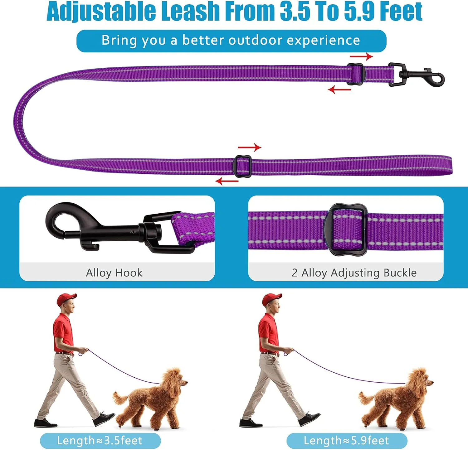 Martingale Dog Collar and Leash Set Martingale Collars for Dogs Reflective Martingale Collar for Small Medium Large Dogs(Purple&S)