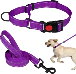 Martingale Dog Collar and Leash Set Martingale Collars for Dogs Reflective Martingale Collar for Small Medium Large Dogs(Purple&S)