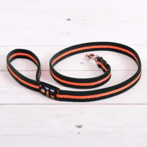 Neon Oscar and Hooch Dog Lead