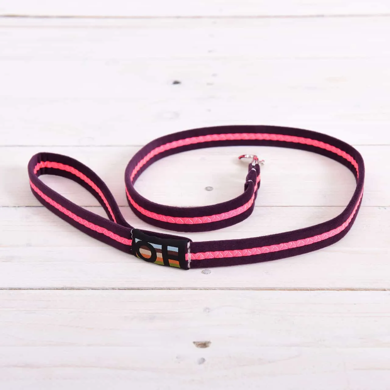 Neon Oscar and Hooch Dog Lead