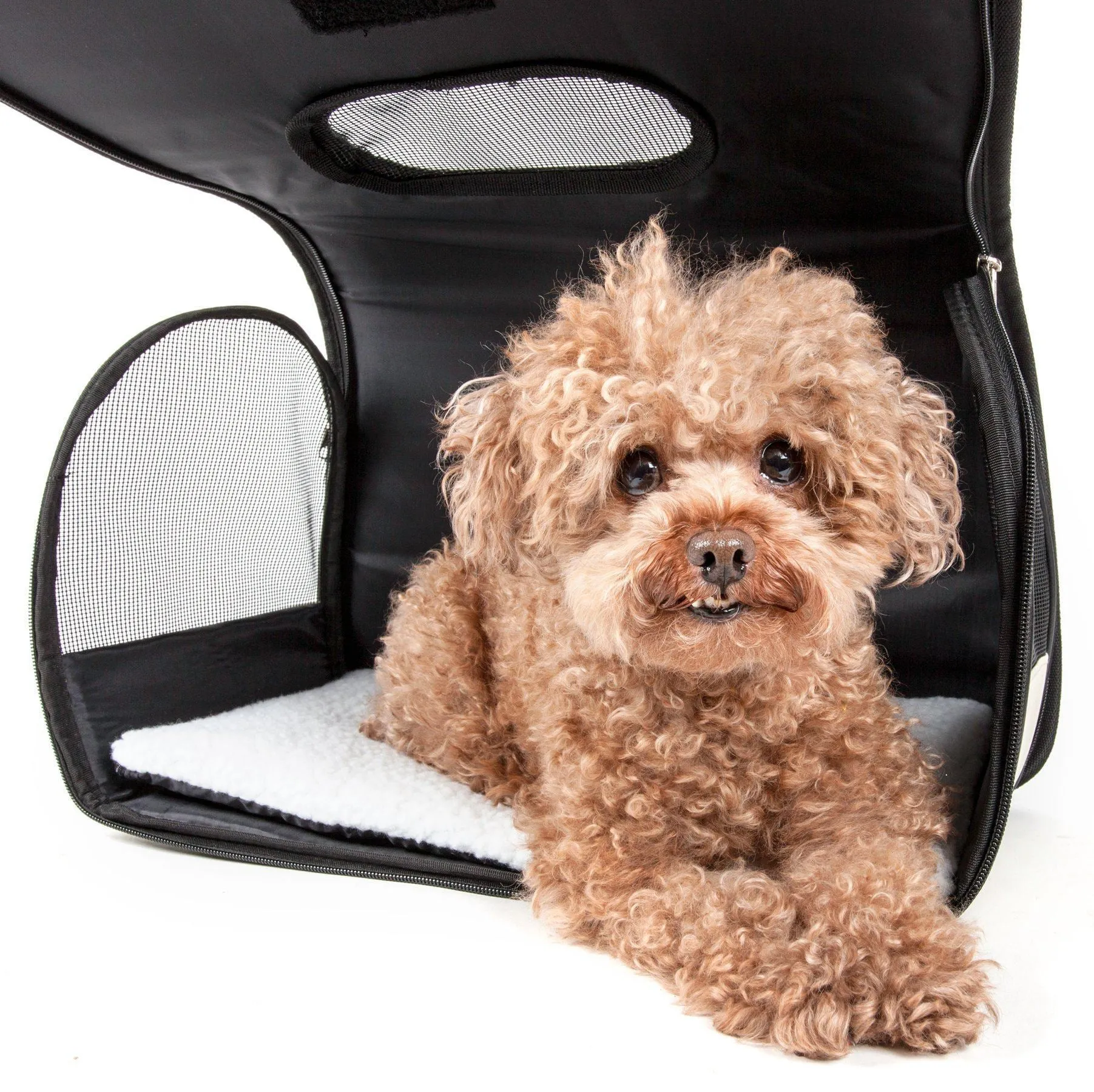 Pet Life ® Paw Patterned Airline Approved Zippered Folding Collapsible Travel Pet Dog Carrier