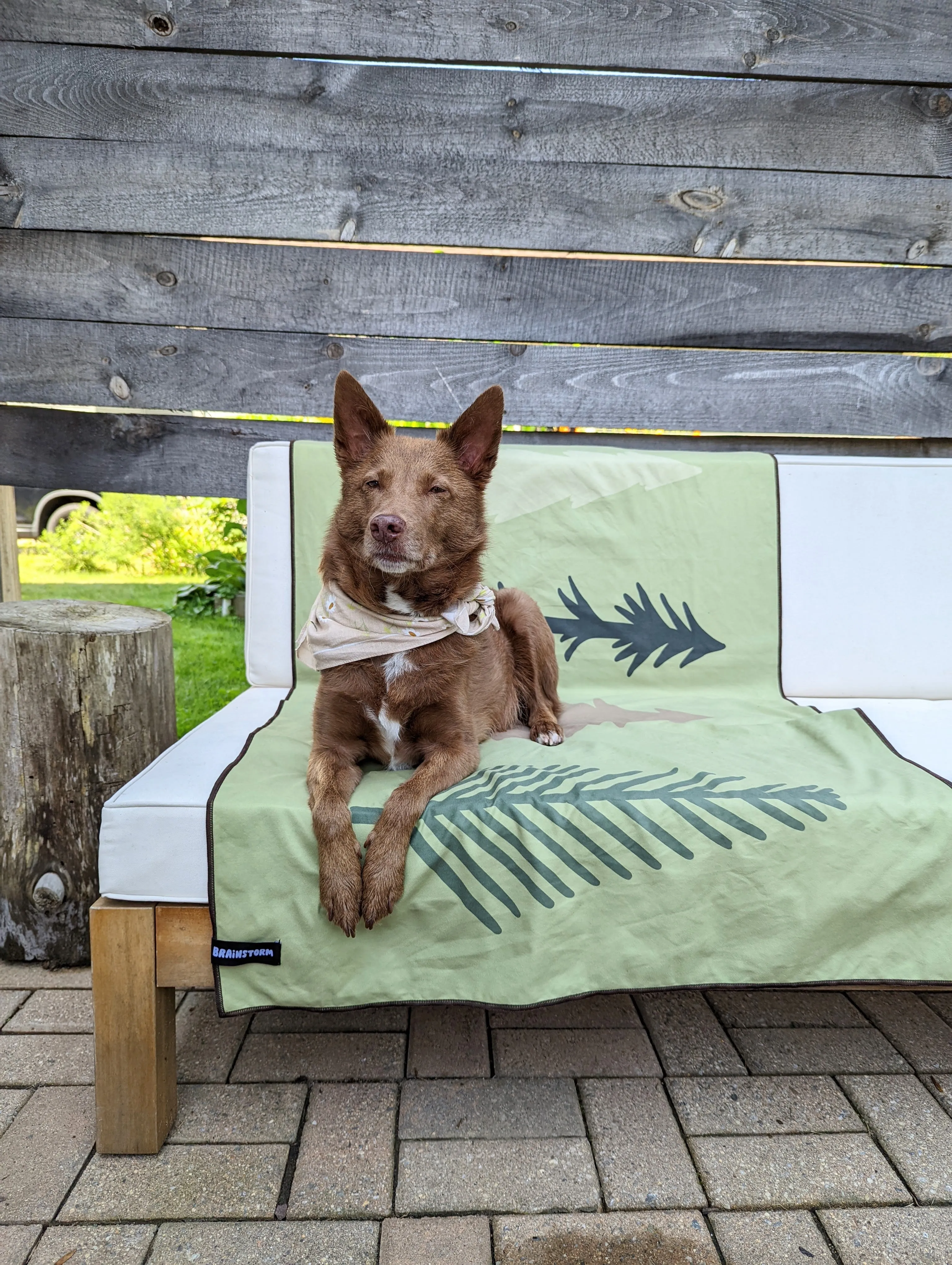 Pine Trees Quick Dry Towel