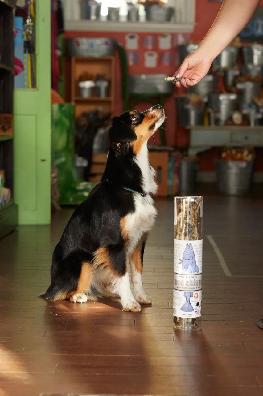 Polkadog Dog and Cat Treats, Cod Skins