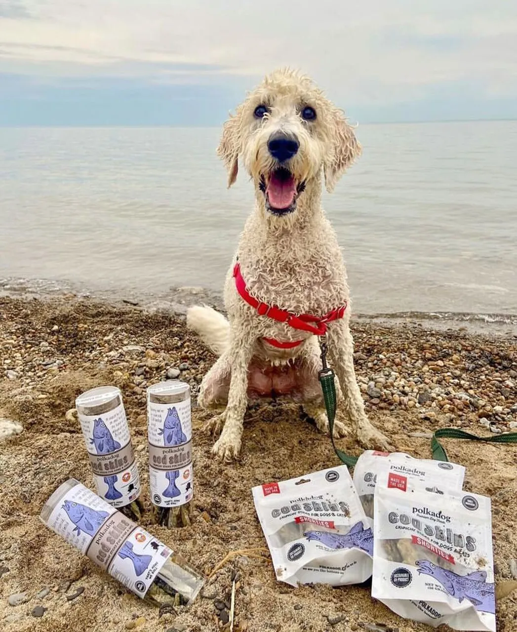 Polkadog Dog and Cat Treats, Cod Skins
