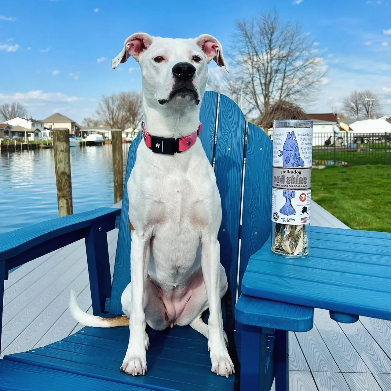Polkadog Dog and Cat Treats, Cod Skins