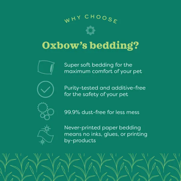 Pure Comfort Natural Bedding - 56L