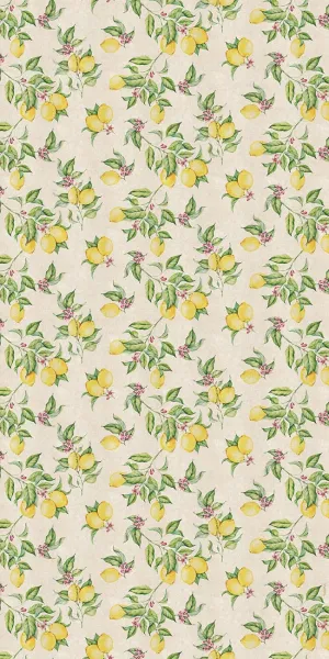 Rug Limones