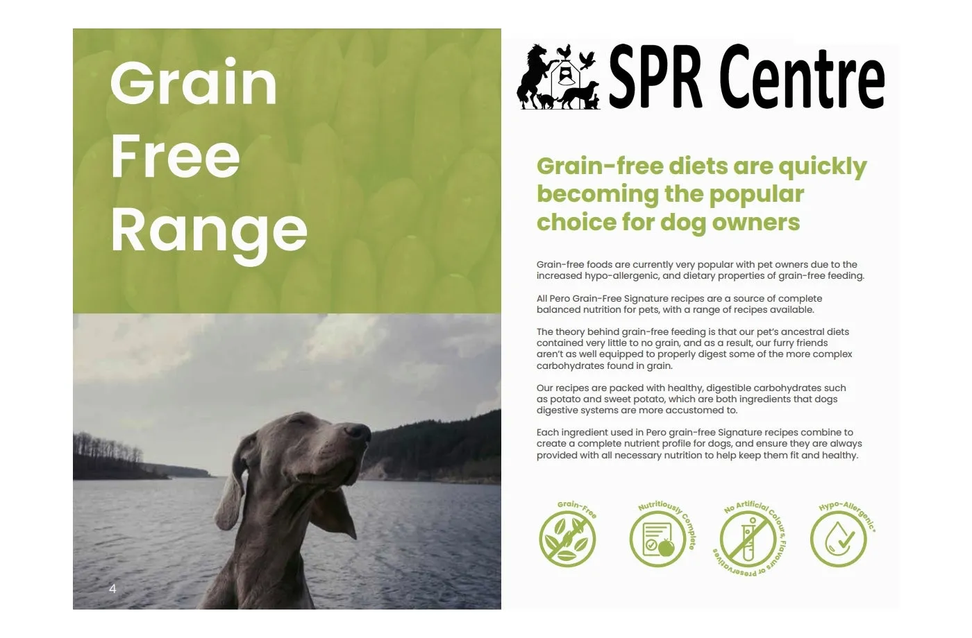 SPR - Grain Free Salmon & Sweet Potato Dog Food